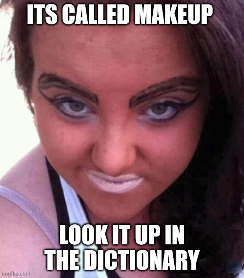 Eyebrows | ITS CALLED MAKEUP; LOOK IT UP IN THE DICTIONARY | image tagged in eyebrows | made w/ Imgflip meme maker
