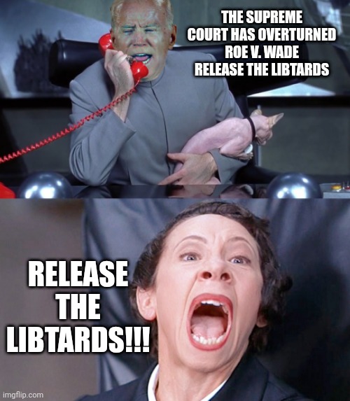 Biden | THE SUPREME COURT HAS OVERTURNED ROE V. WADE RELEASE THE LIBTARDS; RELEASE THE LIBTARDS!!! | image tagged in biden | made w/ Imgflip meme maker