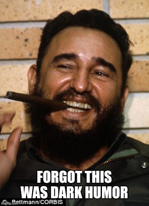 When all you do is... | FORGOT THIS WAS DARK HUMOR | image tagged in fidel castro,free time | made w/ Imgflip meme maker