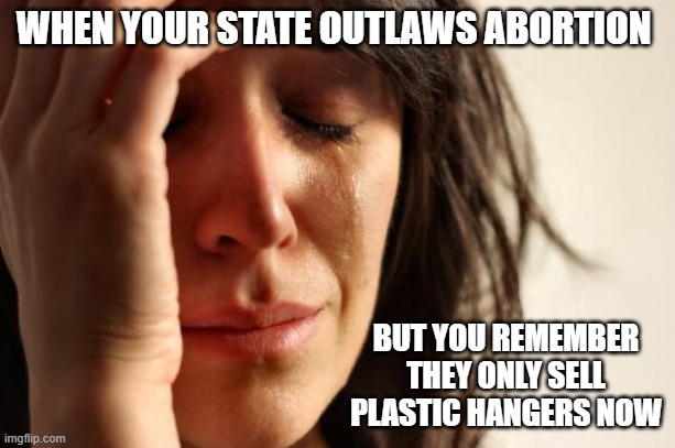 Roe v Wade v Wahmen | WHEN YOUR STATE OUTLAWS ABORTION; BUT YOU REMEMBER THEY ONLY SELL PLASTIC HANGERS NOW | image tagged in memes,first world problems,roe v wade,abortion | made w/ Imgflip meme maker