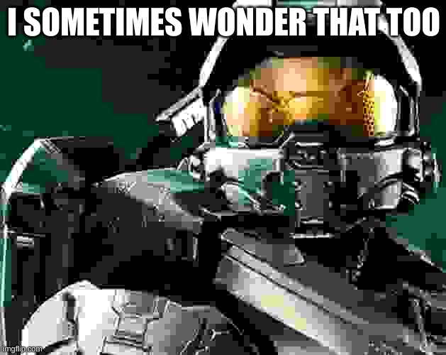 Masterchief | I SOMETIMES WONDER THAT TOO | image tagged in masterchief | made w/ Imgflip meme maker