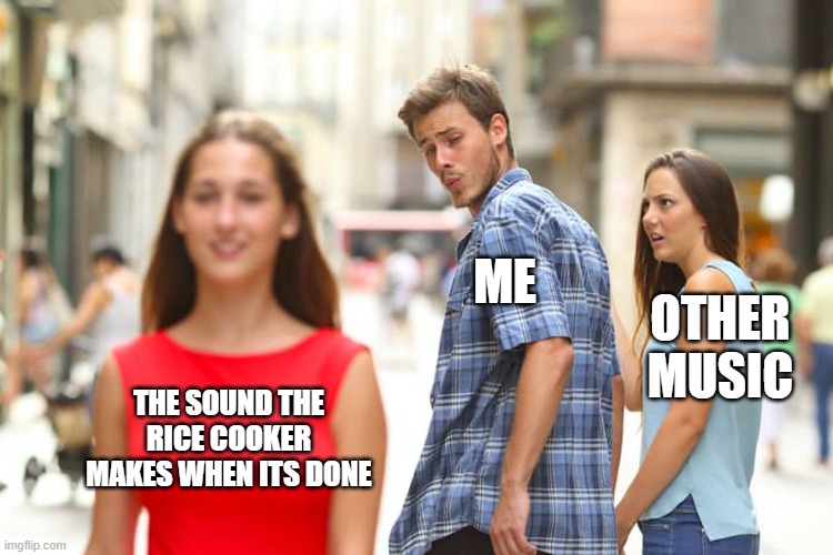 The Rice maker is the best musical instrument |  ME; OTHER MUSIC; THE SOUND THE RICE COOKER MAKES WHEN ITS DONE | image tagged in memes,distracted boyfriend,rice,music | made w/ Imgflip meme maker