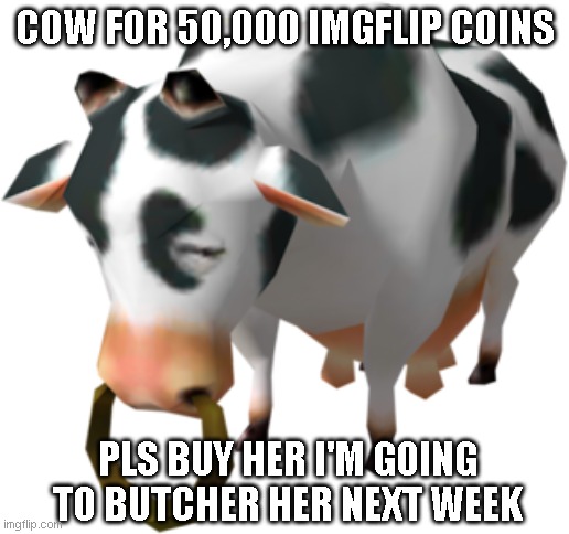 [Mod note: steaks are good too] | COW FOR 50,000 IMGFLIP COINS; PLS BUY HER I'M GOING TO BUTCHER HER NEXT WEEK | image tagged in evil cows | made w/ Imgflip meme maker