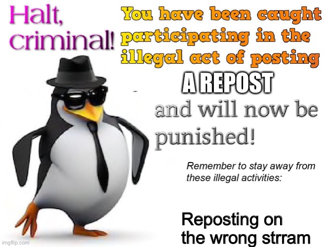 halt criminal! | A REPOST Reposting on the wrong stream | image tagged in halt criminal | made w/ Imgflip meme maker