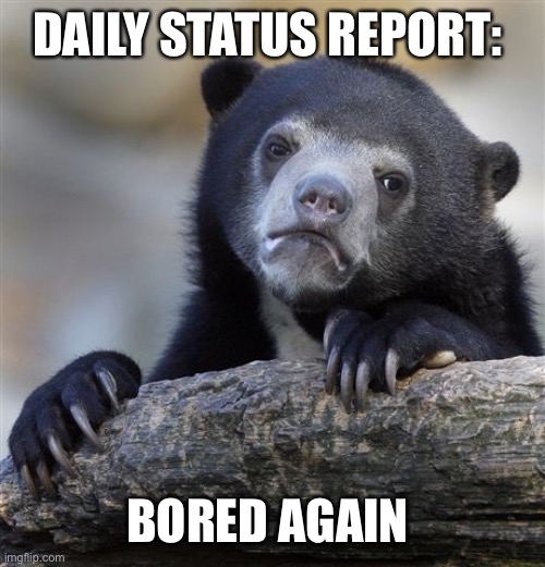Confession Bear Meme | DAILY STATUS REPORT:; BORED AGAIN | image tagged in memes,confession bear,daily,status,report | made w/ Imgflip meme maker