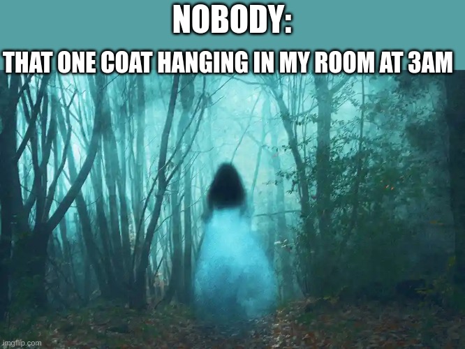 that coat scares me | NOBODY:; THAT ONE COAT HANGING IN MY ROOM AT 3AM | image tagged in ghost | made w/ Imgflip meme maker