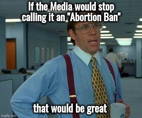 Stirring up trouble is not your job | If the Media would stop calling it an "Abortion Ban"; that would be great | image tagged in memes,that would be great,biased media,prepare for trouble and make it double,peace was never an option | made w/ Imgflip meme maker