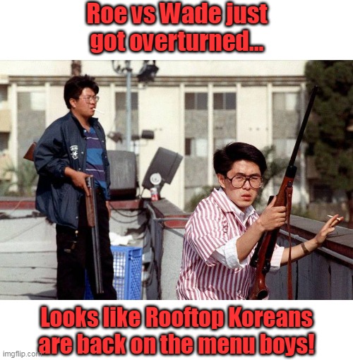 Because you know those Democrat politicians will not protect your businesses. | Roe vs Wade just got overturned... Looks like Rooftop Koreans are back on the menu boys! | image tagged in roe vs wade,riot,democrats,liberals,antifa,left | made w/ Imgflip meme maker