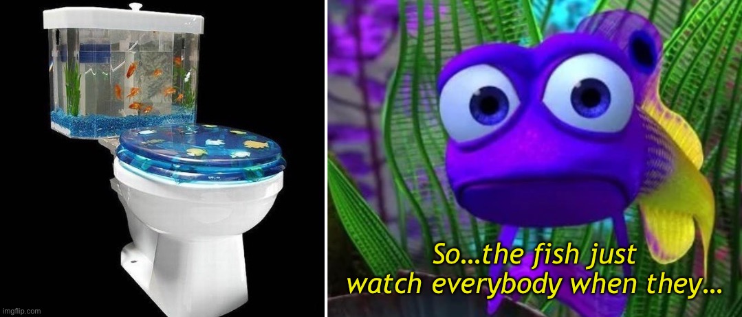 Tanked | So…the fish just watch everybody when they… | image tagged in funny memes,finding nemo,goldfish toilet | made w/ Imgflip meme maker