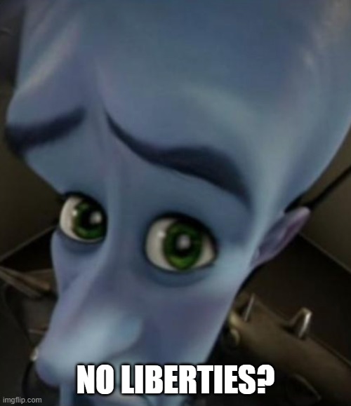 Autarky | NO LIBERTIES? | image tagged in no bitches | made w/ Imgflip meme maker