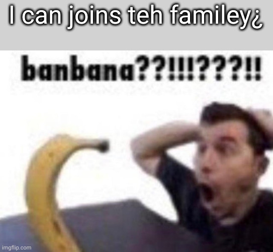 plez I want joien familey | I can joins teh familey¿ | image tagged in banbana | made w/ Imgflip meme maker