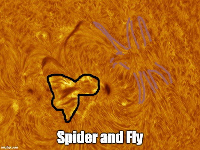 Spider and Fly | made w/ Imgflip meme maker