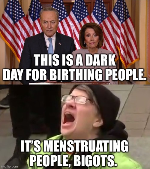 Abortion | THIS IS A DARK DAY FOR BIRTHING PEOPLE. IT’S MENSTRUATING PEOPLE, BIGOTS. | image tagged in chuck and nancy,triggered leftist,abortion | made w/ Imgflip meme maker
