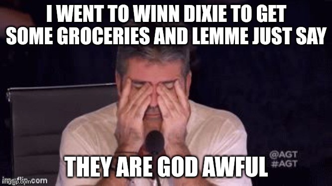 Frustrated Simon Cowell | I WENT TO WINN DIXIE TO GET SOME GROCERIES AND LEMME JUST SAY; THEY ARE GOD AWFUL | image tagged in frustrated simon cowell | made w/ Imgflip meme maker