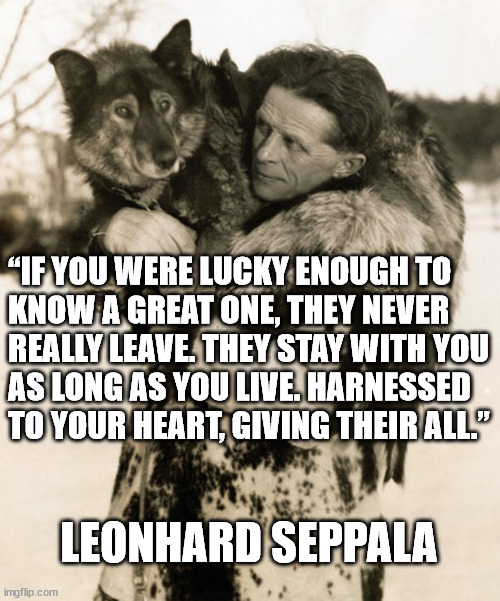 Leonhard Seppala and his dog, Togo, on whom the the Disney movie was based. | “IF YOU WERE LUCKY ENOUGH TO
KNOW A GREAT ONE, THEY NEVER
REALLY LEAVE. THEY STAY WITH YOU
AS LONG AS YOU LIVE. HARNESSED
TO YOUR HEART, GIVING THEIR ALL.”; LEONHARD SEPPALA | image tagged in leonard seppala,togo,siberian husky | made w/ Imgflip meme maker