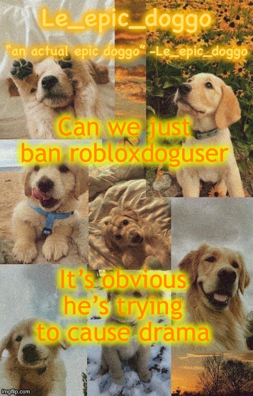 Doggo temp by doggo. Wait what that’s confusing | Can we just ban robloxdoguser; It’s obvious he’s trying to cause drama | image tagged in doggo temp by doggo wait what that s confusing | made w/ Imgflip meme maker