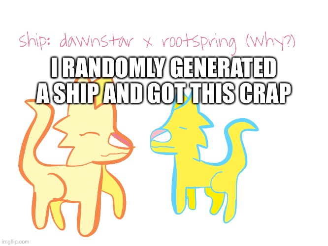 :( whyyy | I RANDOMLY GENERATED A SHIP AND GOT THIS CRAP | image tagged in warrior cats,this is not okie dokie | made w/ Imgflip meme maker