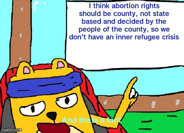 People moving over to states over abortion will just be terrible, mainly housing and traffic | I think abortion rights should be county, not state based and decided by the people of the county, so we don't have an inner refugee crisis | image tagged in wubbzy and that's a fact,abortion | made w/ Imgflip meme maker