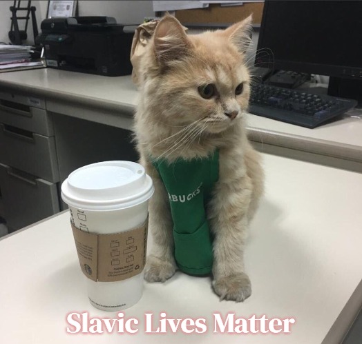 Cat barista  | Slavic Lives Matter | image tagged in cat barista,slavic,blacklabel jedih,freddie fingaz,bars over bars | made w/ Imgflip meme maker