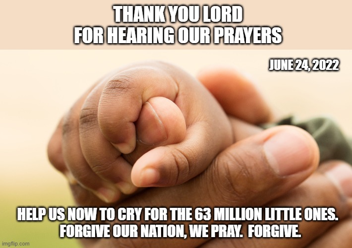Roe V Wade overturned, at last. | THANK YOU LORD FOR HEARING OUR PRAYERS; JUNE 24, 2022; HELP US NOW TO CRY FOR THE 63 MILLION LITTLE ONES.  
FORGIVE OUR NATION, WE PRAY.  FORGIVE. | image tagged in abortion is murder,pro life,roe v wade,thanksgiving,god bless america | made w/ Imgflip meme maker