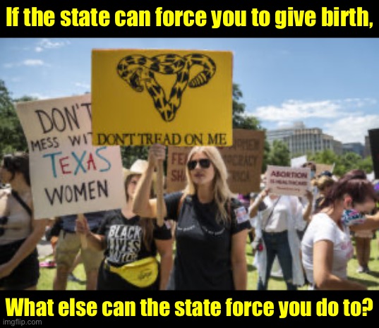 Pregnancy & childbirth are the most personal, intimate things anyone can experience. There’s no other word for this than tyranny | If the state can force you to give birth, What else can the state force you do to? | image tagged in don t tread on me texas feminists,abortion,pro-choice,pro choice,libertarian,libertarians | made w/ Imgflip meme maker
