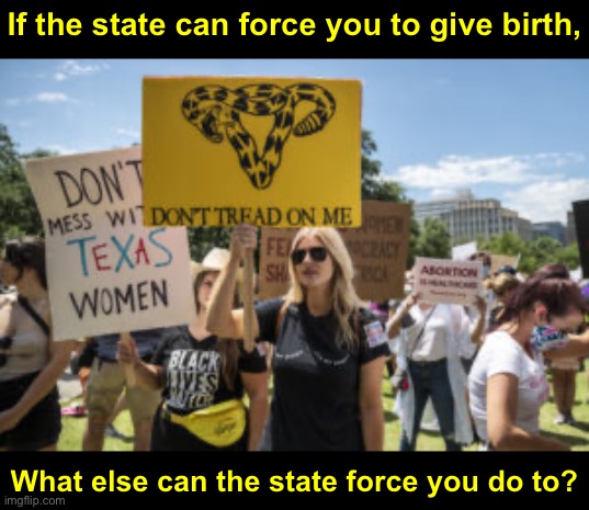 Pregnancy & childbirth are the most personal, intimate things anyone can experience. There’s no other word for this than tyranny | If the state can force you to give birth, What else can the state force you do to? | image tagged in don t tread on me texas feminists | made w/ Imgflip meme maker