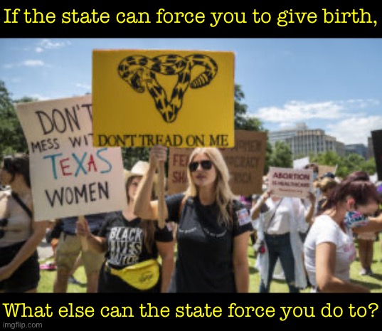 Principled libertarians support the right to choose. | If the state can force you to give birth, What else can the state force you do to? | image tagged in don t tread on me texas feminists | made w/ Imgflip meme maker