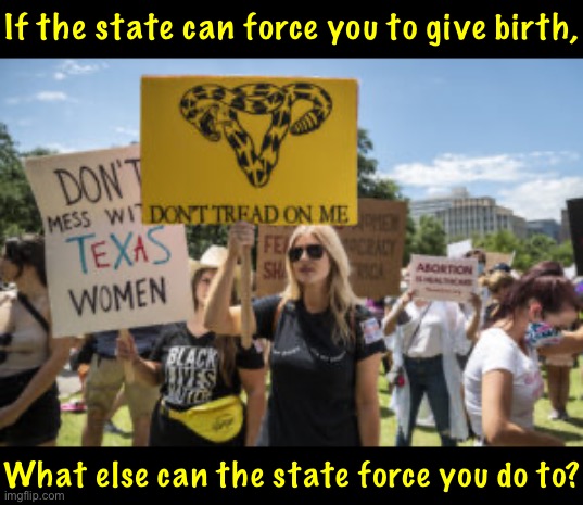 Pregnancy & childbirth are the most personal, intimate things anyone can experience. There’s no other word for this than tyranny | If the state can force you to give birth, What else can the state force you do to? | image tagged in don t tread on me texas feminists,abortion,pro-choice,libertarian,libertarians,women rights | made w/ Imgflip meme maker