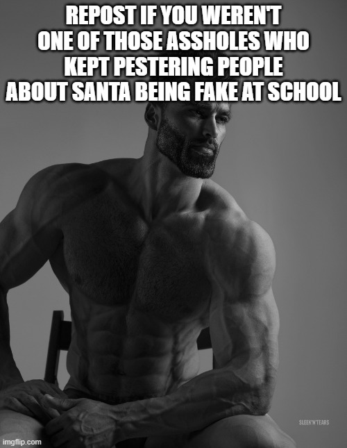 I'm lookin at you SpaceFanfiction | REPOST IF YOU WEREN'T ONE OF THOSE ASSHOLES WHO KEPT PESTERING PEOPLE ABOUT SANTA BEING FAKE AT SCHOOL | image tagged in giga chad | made w/ Imgflip meme maker