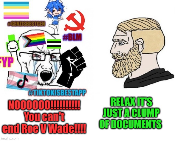 A CLUMP OF DOCUMENTS | RELAX IT'S JUST A CLUMP OF DOCUMENTS; NOOOOOO!!!!!!!!!! You can't end Roe V Wade!!!! | image tagged in average tiktoker vs chad | made w/ Imgflip meme maker