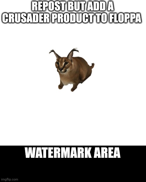 Quest: equip floppa. Reward: compressed block of emerald | REPOST BUT ADD A CRUSADER PRODUCT TO FLOPPA; WATERMARK AREA | image tagged in memes,blank transparent square | made w/ Imgflip meme maker