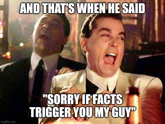 Laughing hysterically | AND THAT'S WHEN HE SAID "SORRY IF FACTS TRIGGER YOU MY GUY" | image tagged in laughing hysterically | made w/ Imgflip meme maker