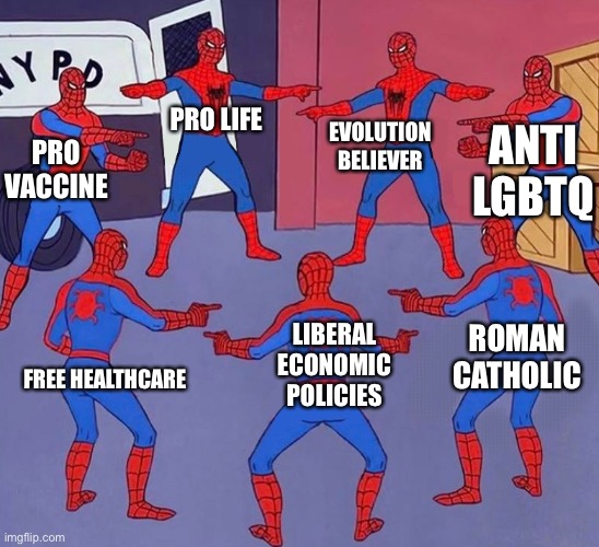 SpaceFanatic’s brain | PRO LIFE; EVOLUTION BELIEVER; ANTI LGBTQ; PRO VACCINE; ROMAN CATHOLIC; LIBERAL ECONOMIC POLICIES; FREE HEALTHCARE | image tagged in same spider man 7 | made w/ Imgflip meme maker