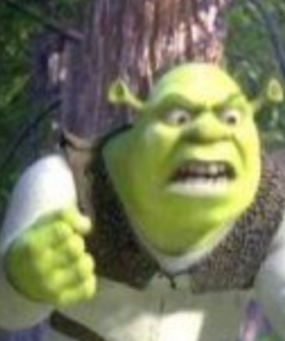 High Quality Shrek dump Blank Meme Template