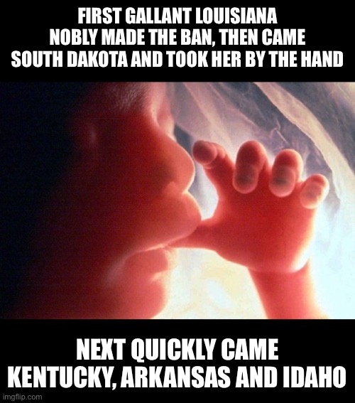 All raised on high the unborn rights | FIRST GALLANT LOUISIANA NOBLY MADE THE BAN, THEN CAME SOUTH DAKOTA AND TOOK HER BY THE HAND; NEXT QUICKLY CAME KENTUCKY, ARKANSAS AND IDAHO | image tagged in abortion | made w/ Imgflip meme maker