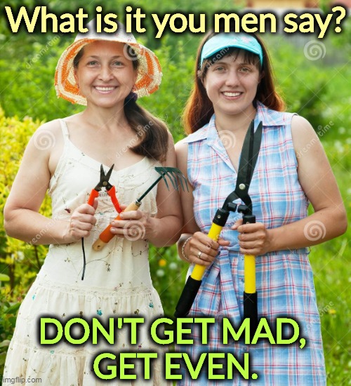 Roe v. Wade should have been left alone. | What is it you men say? DON'T GET MAD, 
GET EVEN. | image tagged in don't get mad get even,women,rights,health,supreme court | made w/ Imgflip meme maker