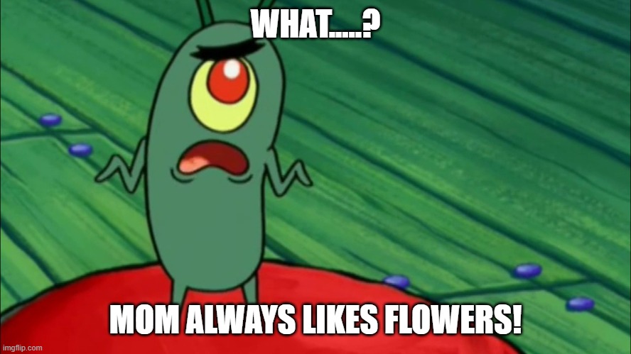 Plankton didn't think he'd get this far | WHAT.....? MOM ALWAYS LIKES FLOWERS! | image tagged in plankton didn't think he'd get this far | made w/ Imgflip meme maker