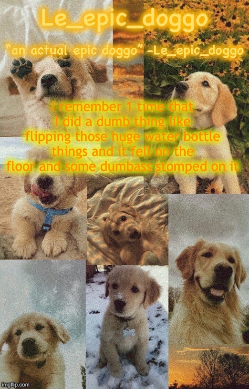 Doggo temp by doggo. Wait what that’s confusing | I remember 1 time that I did a dumb thing like flipping those huge water bottle things and it fell on the floor and some dumbass stomped on it | image tagged in doggo temp by doggo wait what that s confusing | made w/ Imgflip meme maker