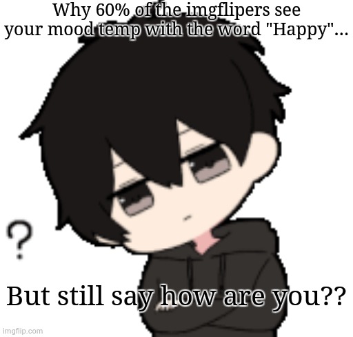 Shadow:What? | Why 60% of the imgflipers see your mood temp with the word "Happy"... But still say how are you?? | image tagged in shadow what | made w/ Imgflip meme maker