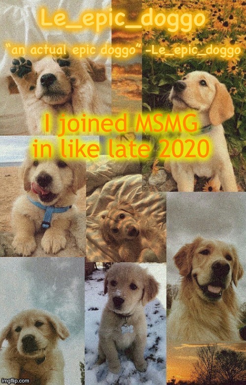 Doggo temp by doggo. Wait what that’s confusing | I joined MSMG in like late 2020 | image tagged in doggo temp by doggo wait what that s confusing | made w/ Imgflip meme maker