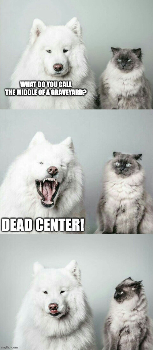 bad joke dog cat |  WHAT DO YOU CALL THE MIDDLE OF A GRAVEYARD? DEAD CENTER! | image tagged in bad joke dog cat,graveyard | made w/ Imgflip meme maker