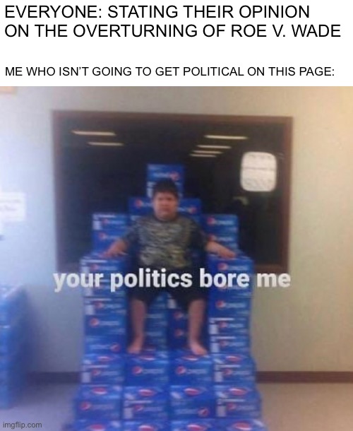 Your opinions on the court bore me |  EVERYONE: STATING THEIR OPINION ON THE OVERTURNING OF ROE V. WADE; ME WHO ISN’T GOING TO GET POLITICAL ON THIS PAGE: | image tagged in memes,supreme court,usa,politics,who cares | made w/ Imgflip meme maker
