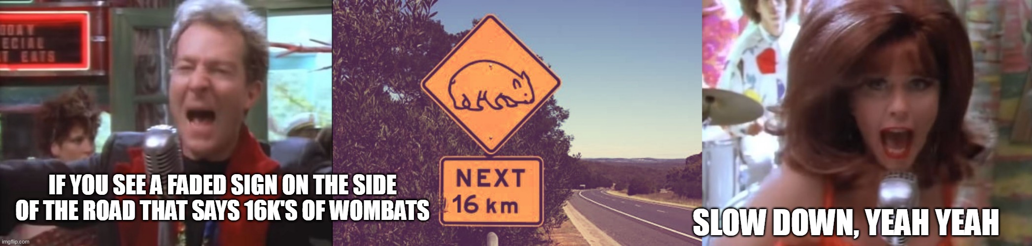 SLOW DOWN, YEAH YEAH; IF YOU SEE A FADED SIGN ON THE SIDE OF THE ROAD THAT SAYS 16K'S OF WOMBATS | image tagged in wombats | made w/ Imgflip meme maker