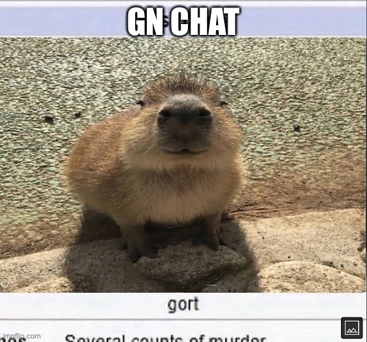 Gort | GN CHAT | image tagged in gort | made w/ Imgflip meme maker