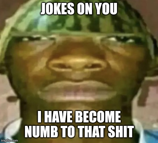 Watermelon Hat | JOKES ON YOU I HAVE BECOME NUMB TO THAT SHIT | image tagged in watermelon hat | made w/ Imgflip meme maker