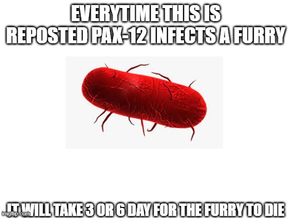 pax12 | EVERYTIME THIS IS REPOSTED PAX-12 INFECTS A FURRY; IT WILL TAKE 3 OR 6 DAY FOR THE FURRY TO DIE | image tagged in blank white template | made w/ Imgflip meme maker