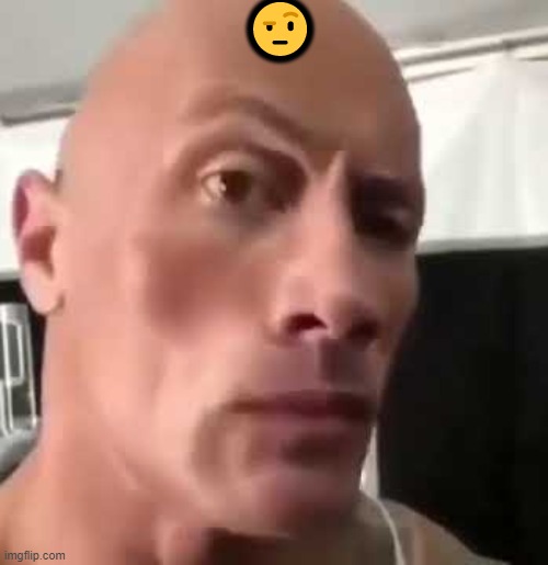 The Rock Eyebrows | ? | image tagged in the rock eyebrows | made w/ Imgflip meme maker