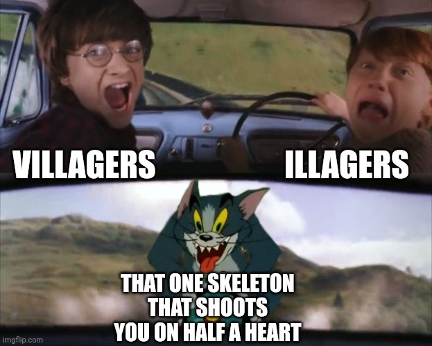 Tom chasing Harry and Ron Weasly | ILLAGERS; VILLAGERS; THAT ONE SKELETON THAT SHOOTS YOU ON HALF A HEART | image tagged in tom chasing harry and ron weasly | made w/ Imgflip meme maker