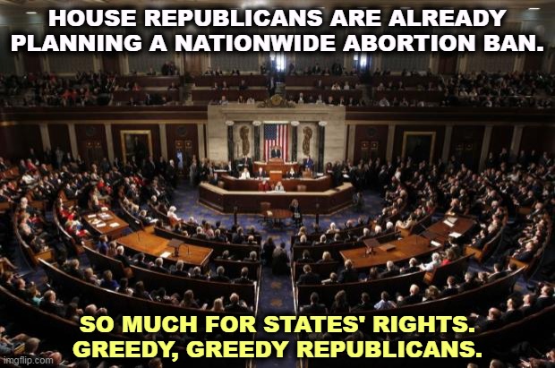Suburban women won't like this. | HOUSE REPUBLICANS ARE ALREADY PLANNING A NATIONWIDE ABORTION BAN. SO MUCH FOR STATES' RIGHTS. GREEDY, GREEDY REPUBLICANS. | image tagged in congress,republicans,greedy,power,abortion,ban | made w/ Imgflip meme maker