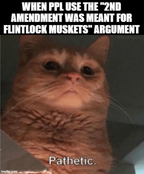 Pathetic Cat | WHEN PPL USE THE "2ND AMENDMENT WAS MEANT FOR FLINTLOCK MUSKETS" ARGUMENT | image tagged in pathetic cat | made w/ Imgflip meme maker